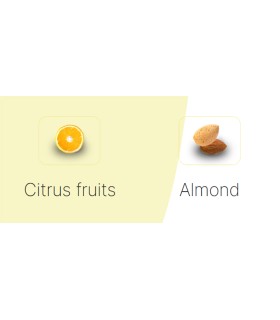 Kaffeebohnen Gentile, 0.5kg, Röster Musetti S.P.A.